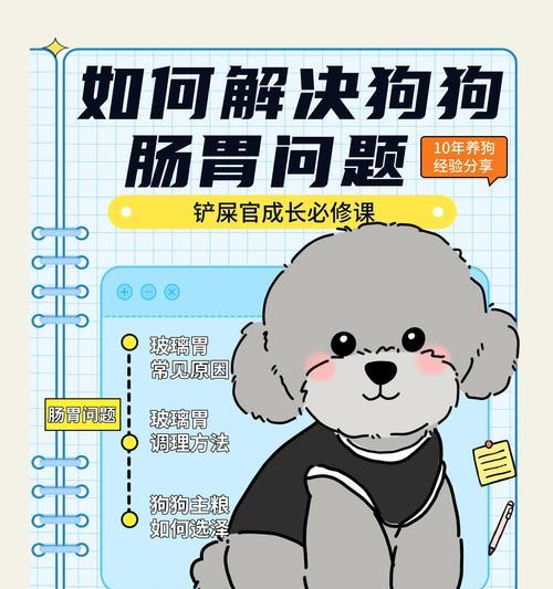 狗狗胃病饮食指南（胃病的狗狗需要注意什么？）
