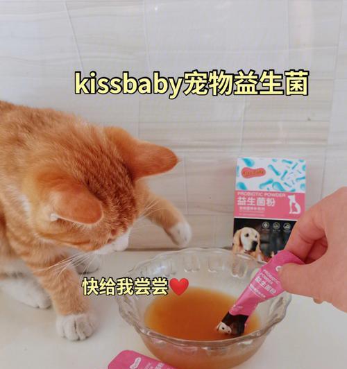 宠物容易患上的肠道疾病——解读常见的狗狗腹泻（了解肠道疾病类型，助你更好地照顾你的爱宠）