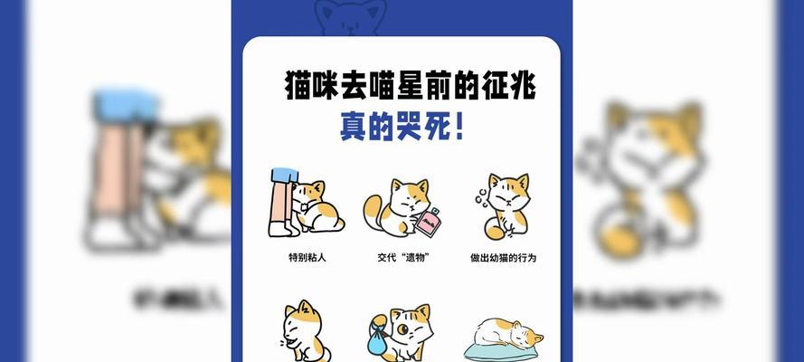 探究猫咪突然死亡的原因及预防措施（为何我们的宠物猫会突然死亡？探寻潜在的因素和解决方法）
