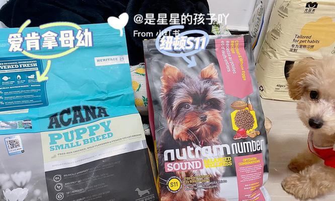 2岁泰迪宠物狗的主食选择（健康成长的关键在于适当的狗粮）