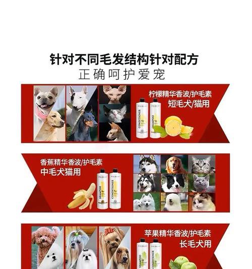 选择适合狗狗的护毛素，让毛发更健康（为您的狗狗选择正确的护毛素，关键是什么？）
