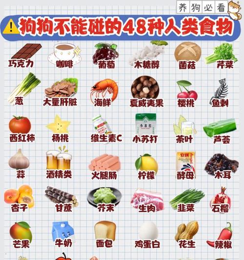 如何避免狗狗怀孕？（狗狗怀孕的危害及预防措施）
