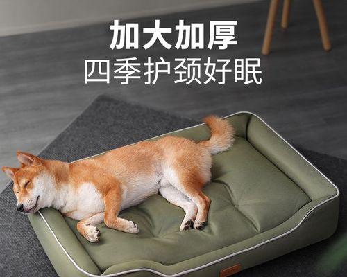 为什么狗会尿自己的窝？（探究狗尿窝行为的原因和解决方法）