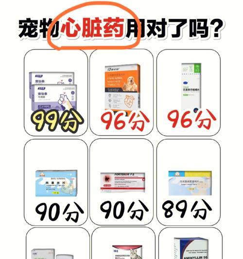 宠物猫和哮喘的关系（宠物猫与哮喘的复杂联系）