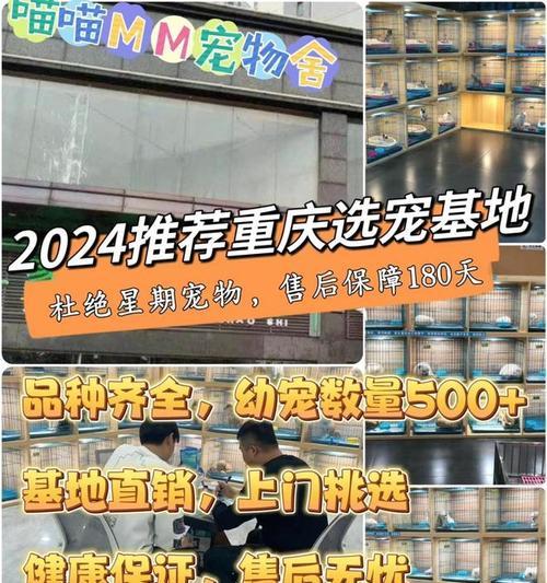 以犬舍和狗市（了解区别，选择最佳途径）
