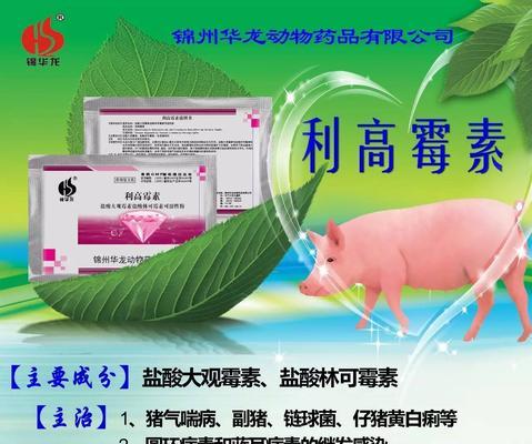 以疥癣灵（探寻以疥癣灵的疗效及适用范围）