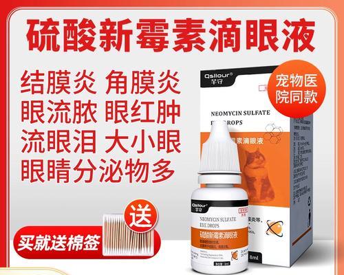 狗狗眼睛消炎的方法与注意事项（细说狗狗眼睛消炎，宠物健康从眼睛开始）