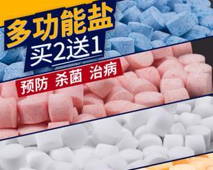 以鱼治病，探寻盐的功效（鱼盐合欢，恢复健康的奇妙组合）