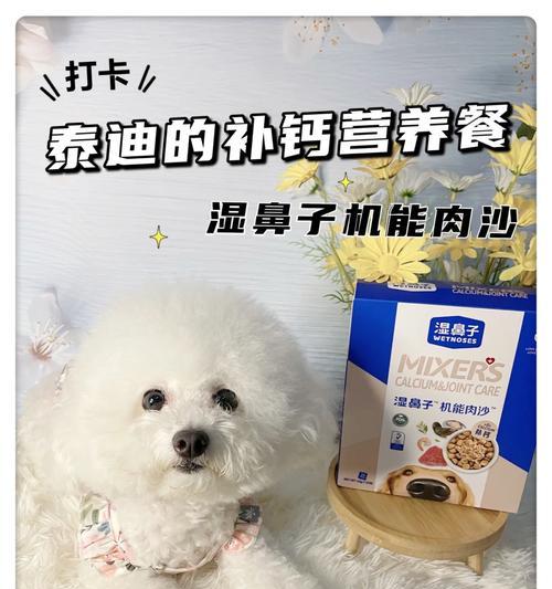 狗狗骨折后的饮食要注意什么？（健康饮食是狗狗康复的关键，营养均衡是必备条件）