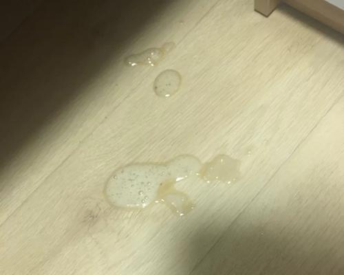 猫拉屎中出现异物的原因（探究猫咪排便时产生异物的种种因素）