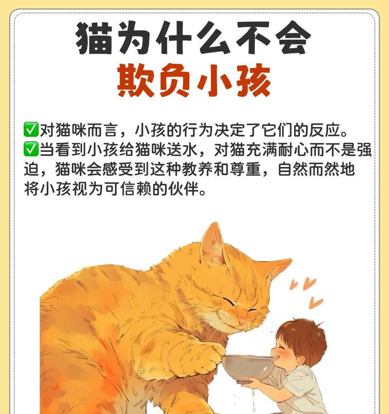 为什么猫不喜欢和人睡？（揭秘猫咪宁愿单独睡觉的原因及解决办法）
