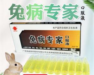 兔子肠炎的症状与预防措施（了解兔子肠炎的症状及如何预防其发生）