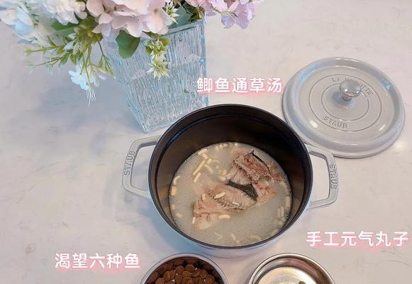 狗狗的饮食对于哺乳期的母狗发奶至关重要（狗狗饮食中的关键营养素和食物，以及喂养注意事项）