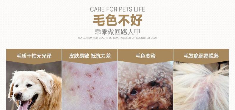 贵宾脱毛的最佳选择（选择贵宾脱毛的三大理由）