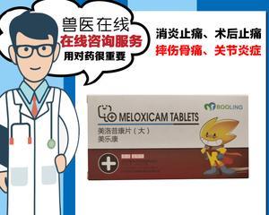以德牧关节炎的药物治疗方案（选择合适的药物缓解以德牧关节炎症状）