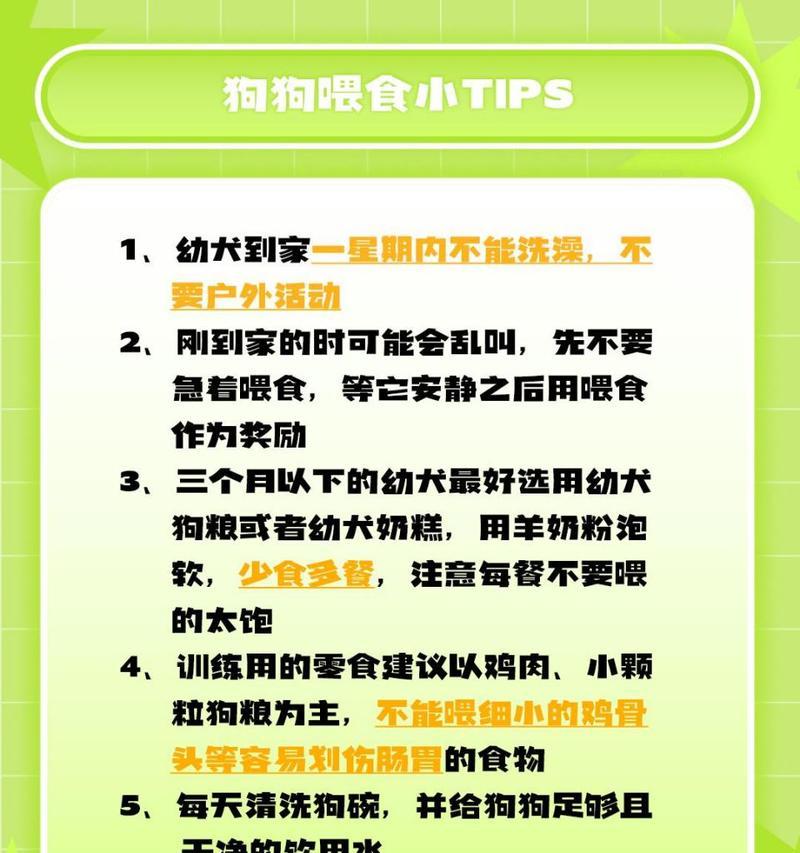 养一只幼犬，每月喂食的最佳时间（幼犬饮食时间表，）