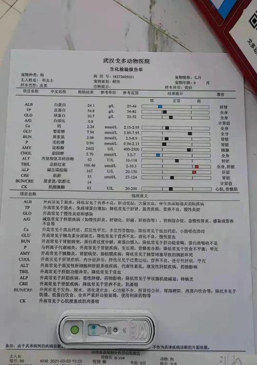 狗狗胰腺炎（了解狗狗胰腺炎的常见症状，及时保护你的宠物）