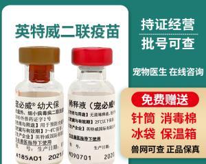 幼犬保疫苗，守护爱宠健康（预防疾病，提早保护幼犬）