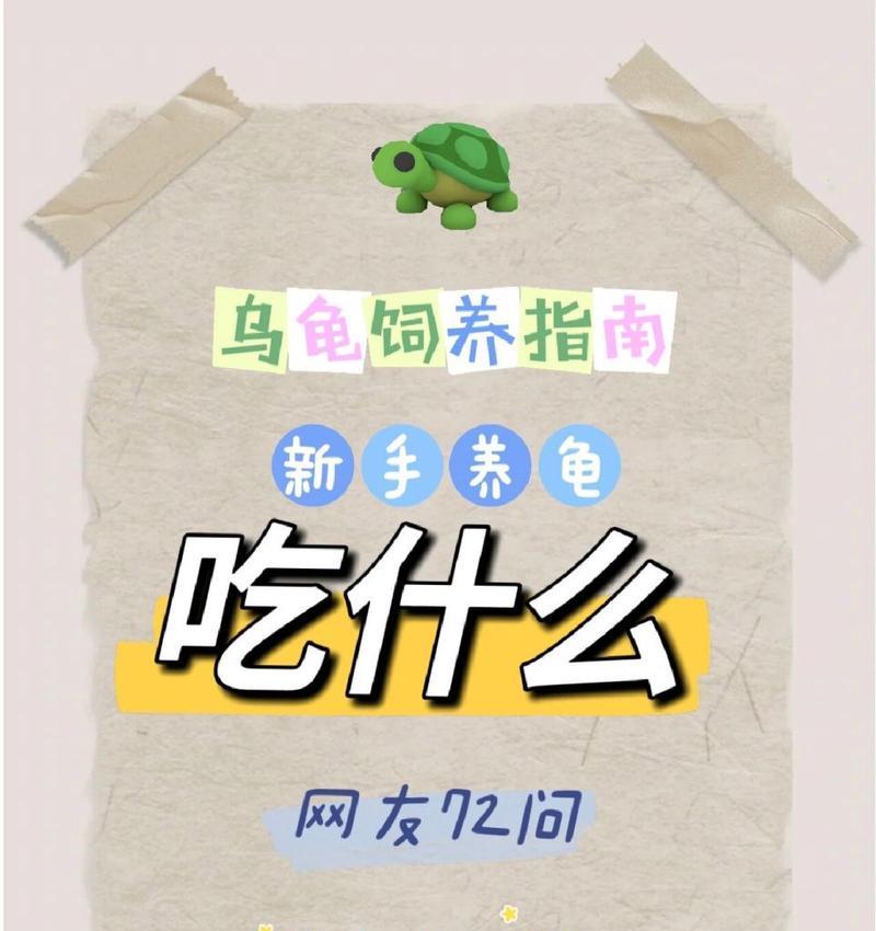 巴西龟的饮食习惯及食物选择（探秘巴西龟的营养需求和饲养技巧）