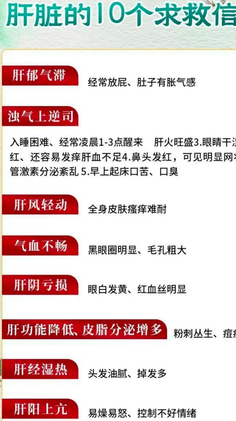 肝脏健康生活指南（预防和改善肝脏问题的有效方法）