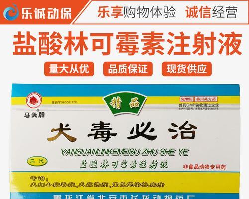 如何帮助狗狗缓解犬瘟引起的拉肚子问题（营养均衡饮食是关键，犬瘟感染后饮食调理至关重要）