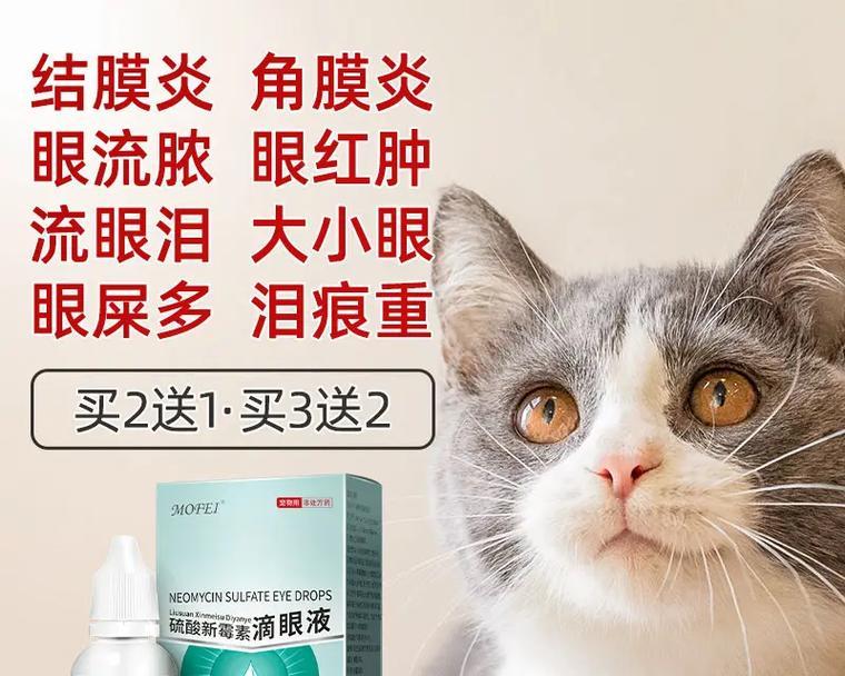 幼猫角膜炎的治疗方法（药物治疗是关键，关注幼猫眼部健康）