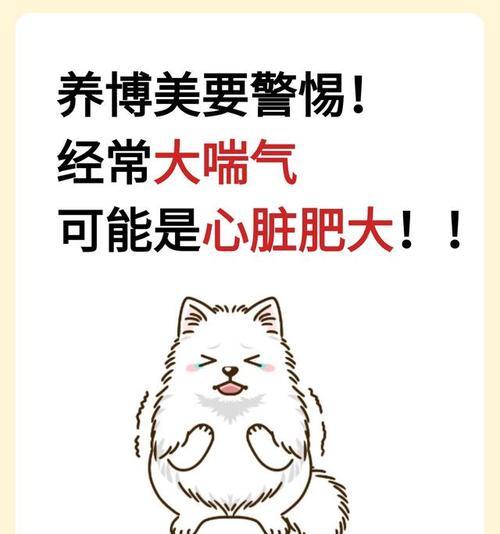 探究博美狗咳嗽声音的原因及处理方法（通过声音辨别，有效解决博美狗咳嗽问题）