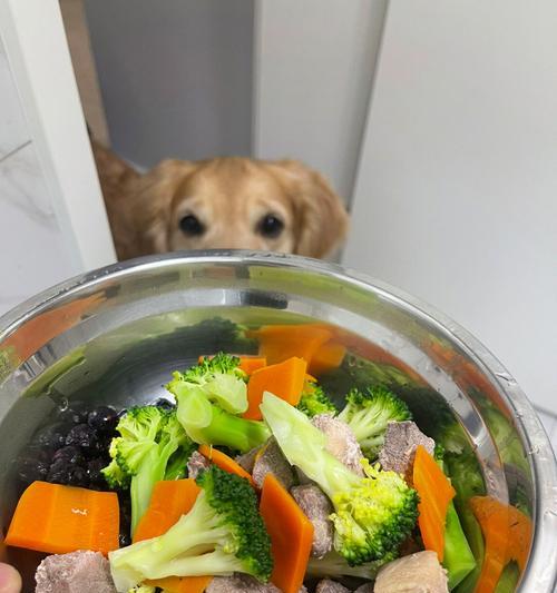 狗妈妈的饮食习惯与营养需求（探索狗妈妈的饮食选择，为母犬健康提供全面关怀）
