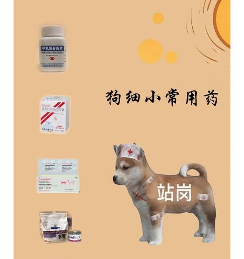 狗细小病的治疗方法及药物选择（了解细小病，给狗狗健康保驾护航）