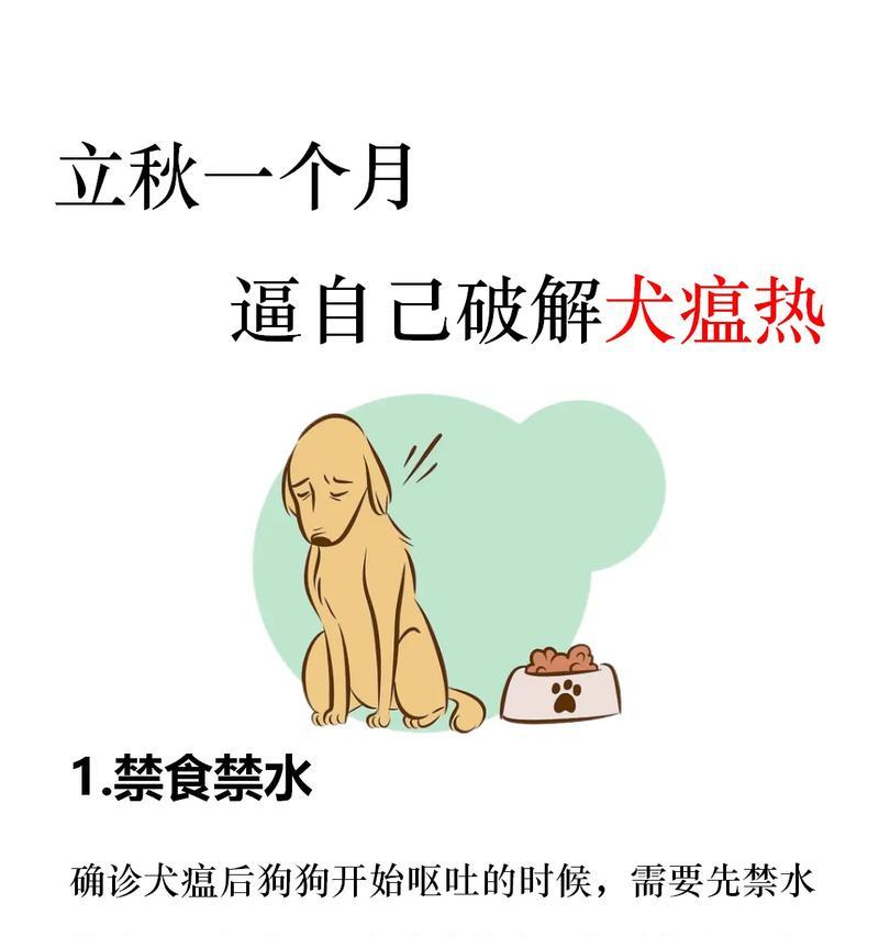 狗狗犬瘟病的康复过程（治愈犬瘟的关键措施及时间周期）