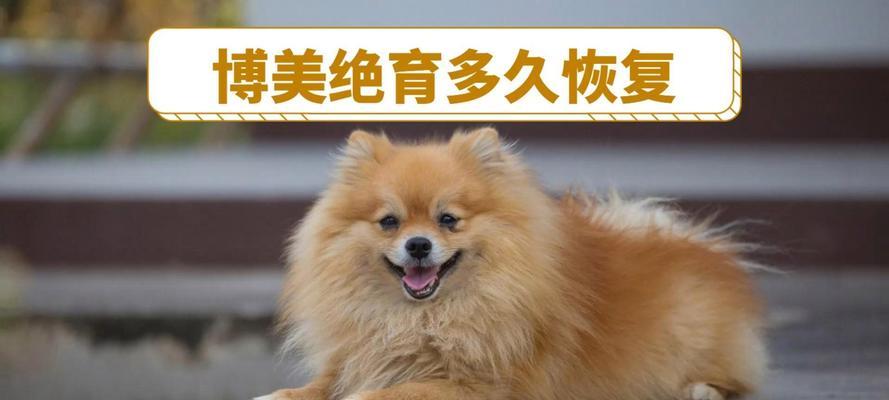 狗狗绝育后需要多长时间恢复正常？（探究狗狗绝育手术的康复时间及关键因素）