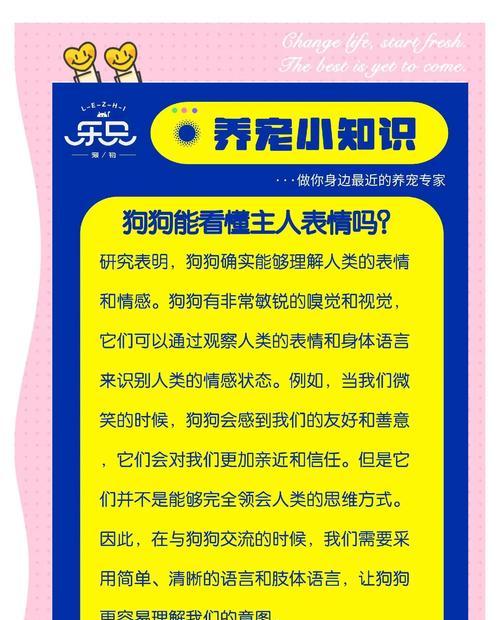 狗狗的动作与含义解读（揭开狗狗心灵的密码，读懂8种常见动作！）