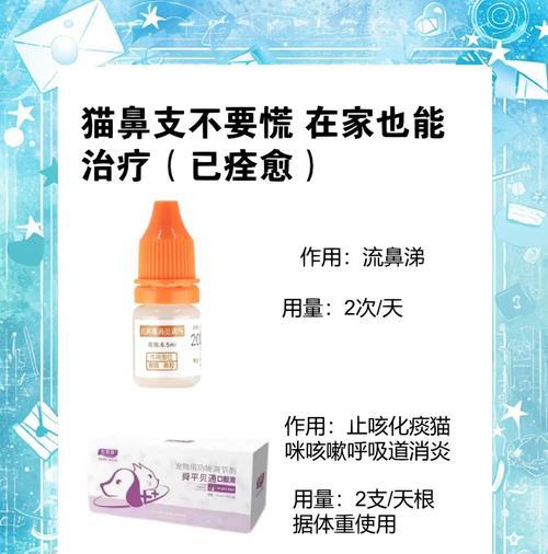 小猫感冒的治愈时间及方法（小猫感冒，关注症状和早期治疗）