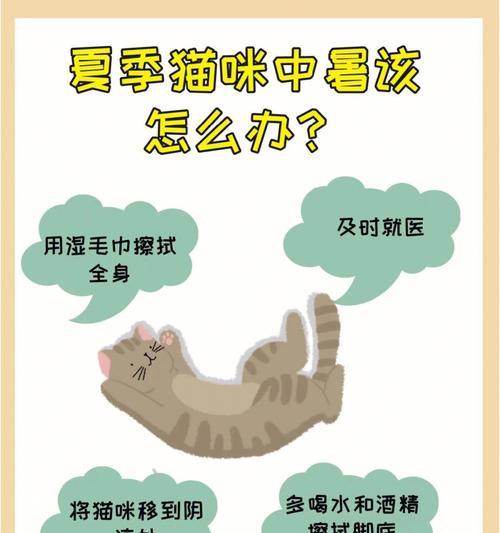 猫咪脚受伤急救小知识（救助脚受伤的猫咪，急需正确处理！）