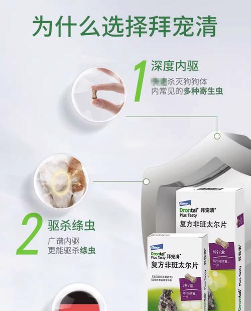 泰迪犬的体外驱虫周期（了解泰迪犬使用体外驱虫药的最佳时间）