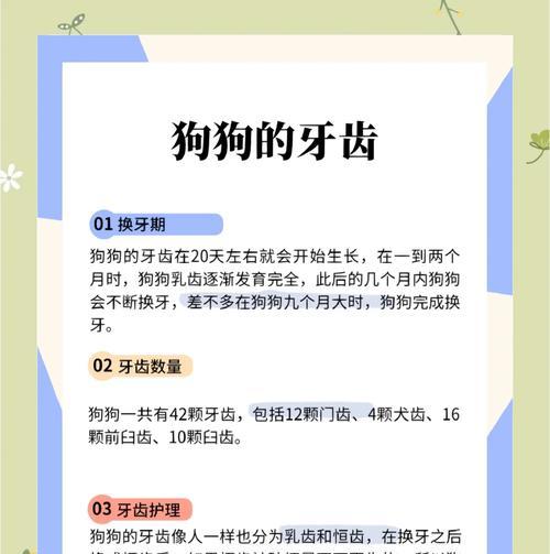 揭秘狗狗每天磨牙时间的秘密（探究狗狗磨牙的原因和影响）