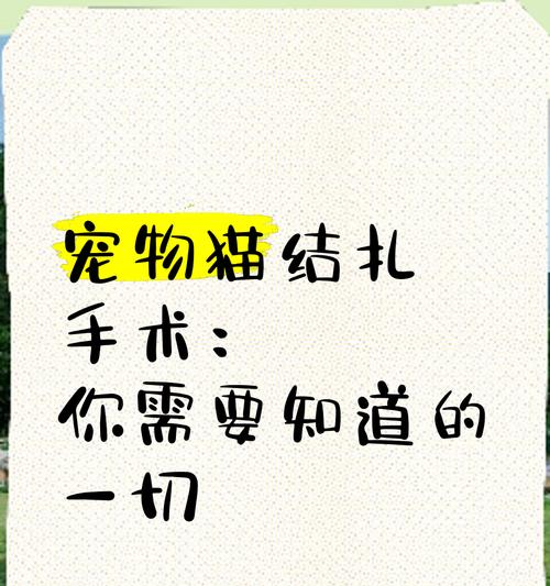 猫后多久可以进行手术？（揭秘猫儿手术的最佳时机）