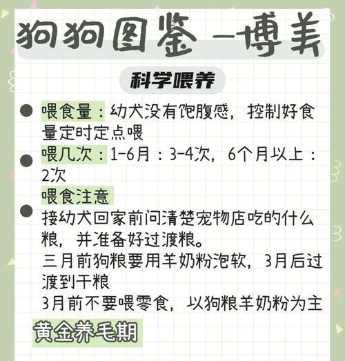 博美软便应对策略（博美拉稀的原因及治疗方法）