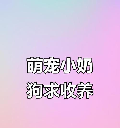 如何正确喂养小奶狗的母乳？（喂养频率与关键要点。）