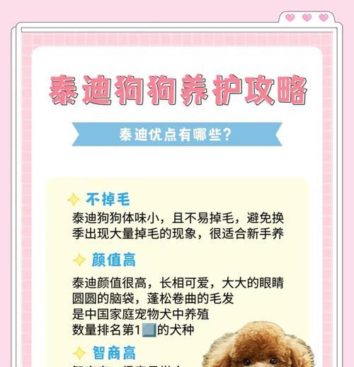 公泰迪绝育后的饮食安排（科学合理的饮食安排是保障健康的关键）