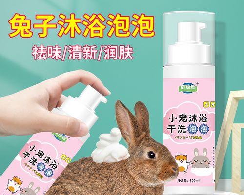 兔子洗澡的最佳频率及注意事项（养兔初学者必读）