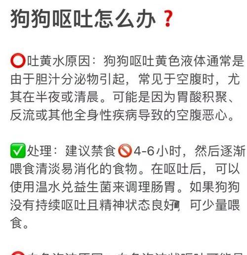 狗狗呕吐黄水的原因及应对措施（了解为什么狗狗会呕吐黄水，你可以做些什么来帮助它）
