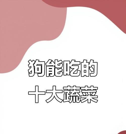 泰迪狗狗的健康饮食（了解泰迪狗狗可食用的水果蔬菜种类及其好处）