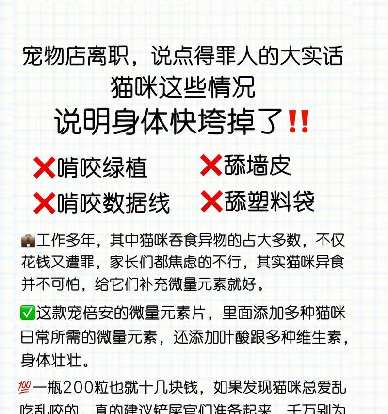 应对猫咪咬人的有效方法（保护自己与猫咪和谐相处）