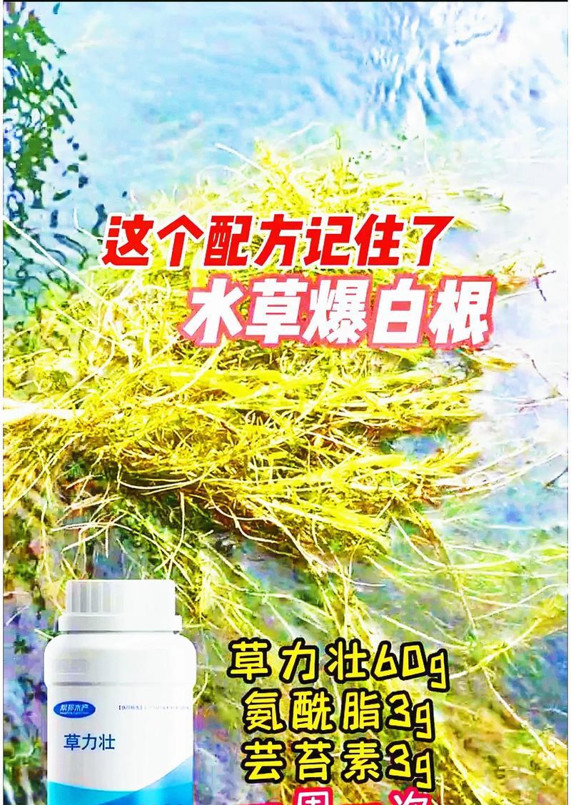 高温养护水草，打造养殖户的绿色财富（让水草茁壮成长的15个实用方法）