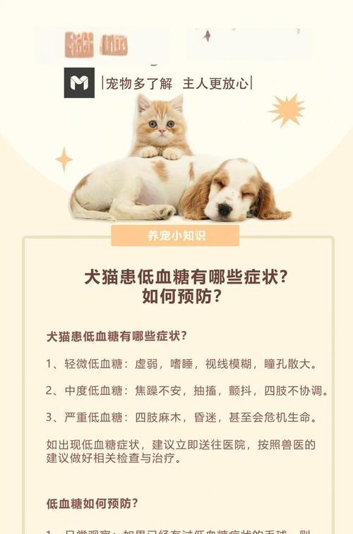 探究狗狗低血糖的原因（深入了解引发狗狗低血糖的诱因及预防方法）