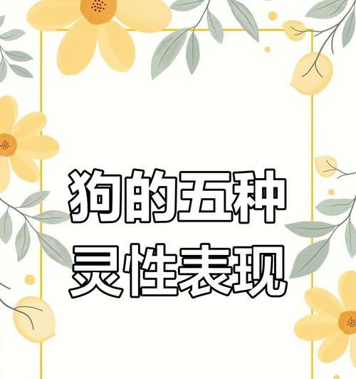 盘点六种最有灵性的狗，你养哪一种？（让狗成为你的灵魂伴侣，从这六种狗中选择最合适的。）