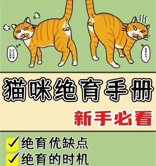 小猫绝育的最佳时间及注意事项（为你的小猫选择最佳绝育时机，做好细节护理）