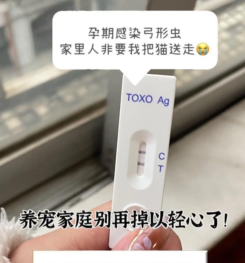 如何合理安排宠物弓形虫检查频率？（科学的检测频率可以保护宠物和家人的健康）
