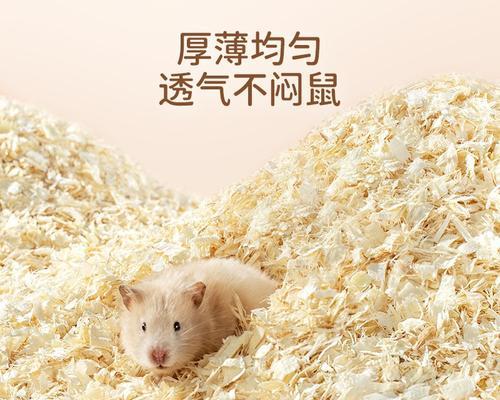 仓鼠木屑更换频率与注意事项（如何正确管理仓鼠的生活环境，确保它们健康成长）